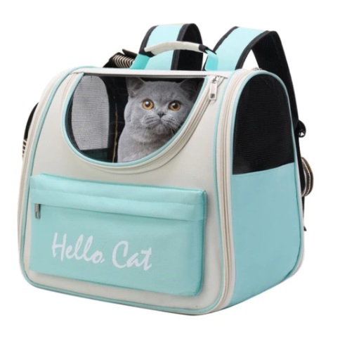 Morral Cat